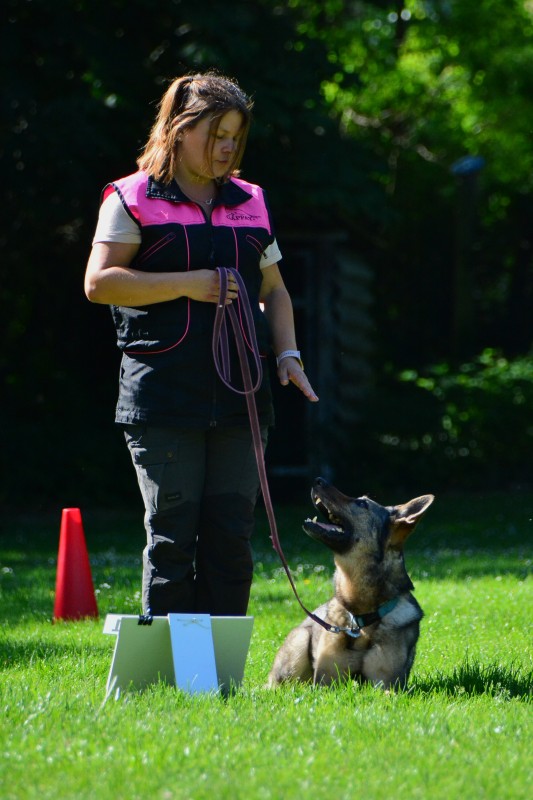2022-05-22 Rally Obedience Turnier 244