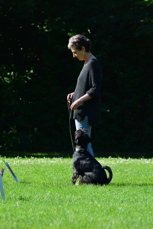 2022-05-22 Rally Obedience Turnier 246