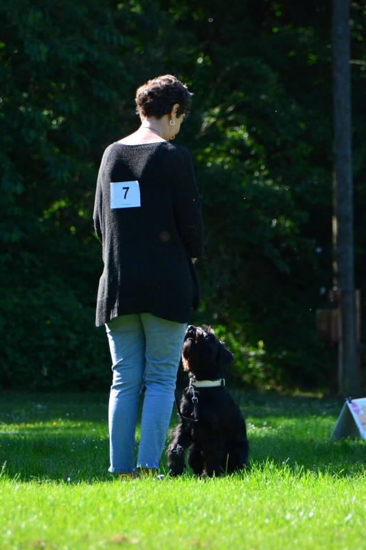 2022-05-22 Rally Obedience Turnier 252