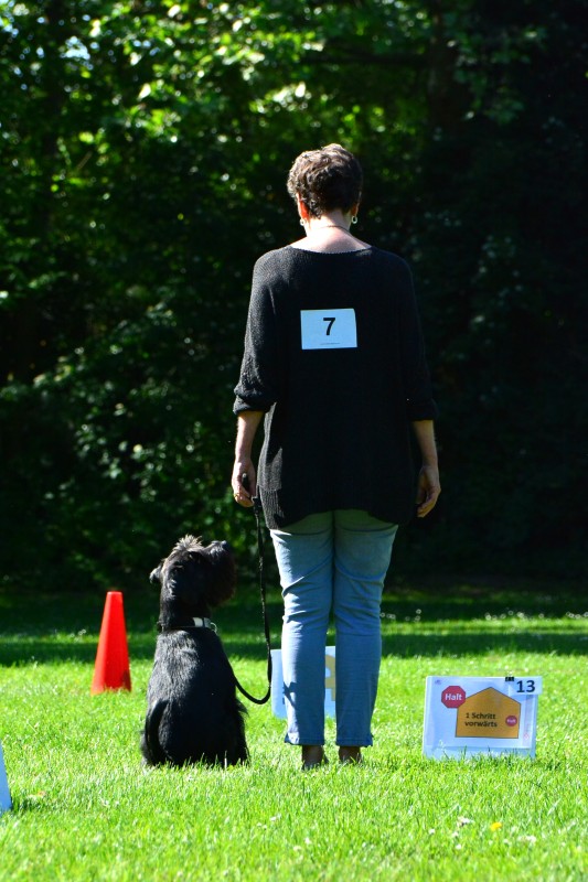 2022-05-22 Rally Obedience Turnier 254
