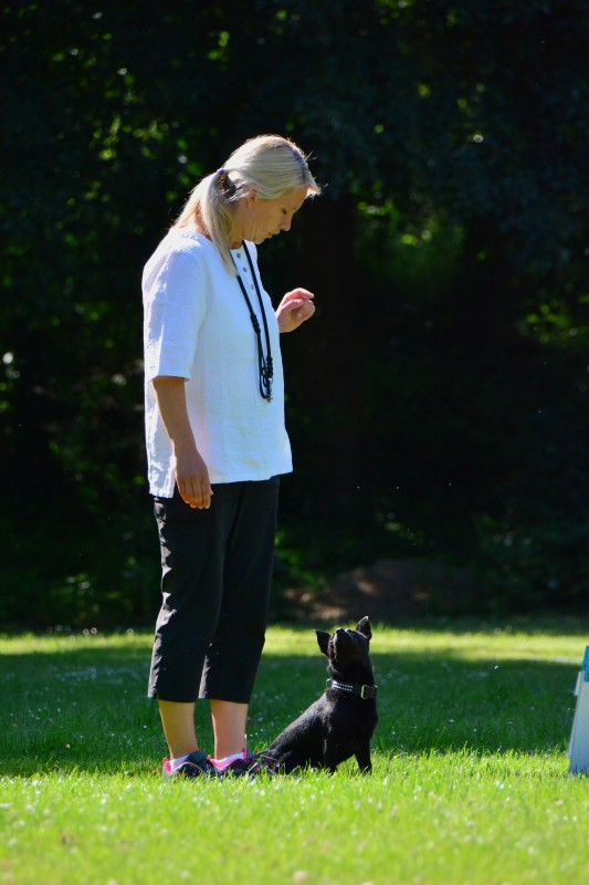 2022-05-22 Rally Obedience Turnier 258