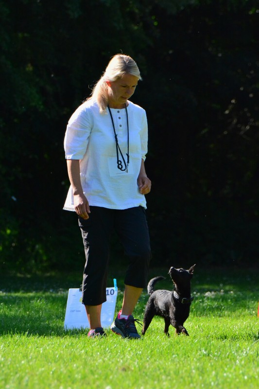 2022-05-22 Rally Obedience Turnier 259