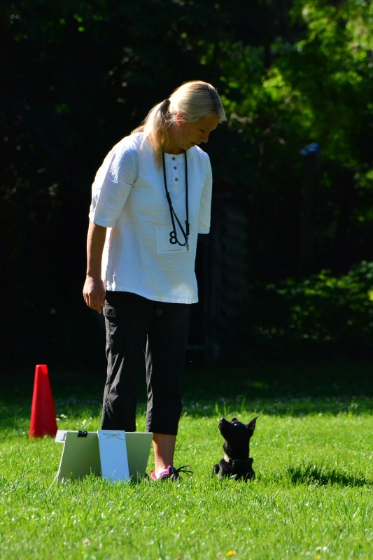 2022-05-22 Rally Obedience Turnier 260