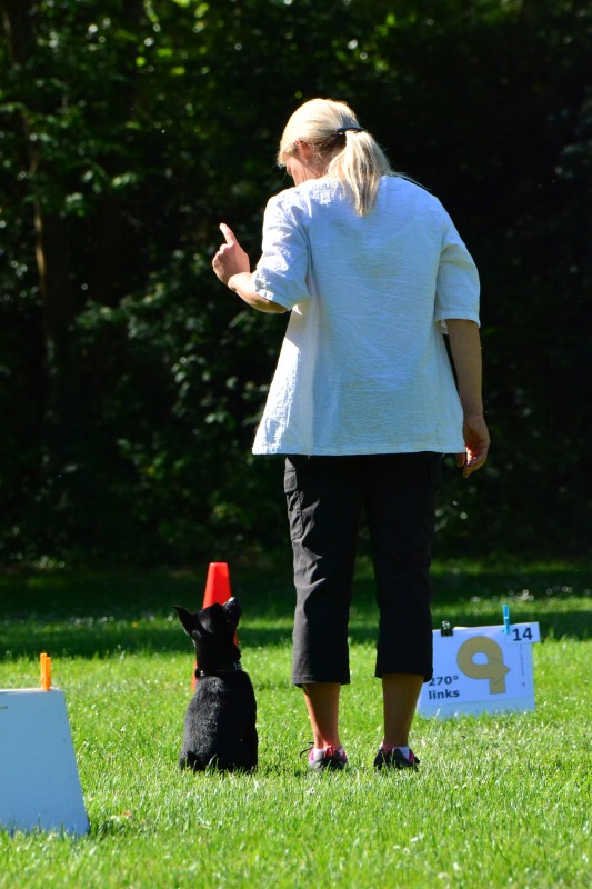 2022-05-22 Rally Obedience Turnier 261