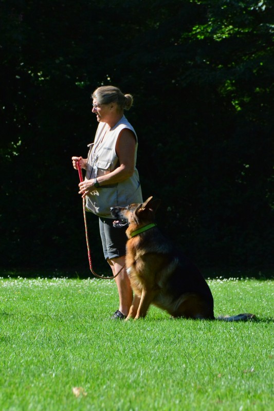 2022-05-22 Rally Obedience Turnier 262
