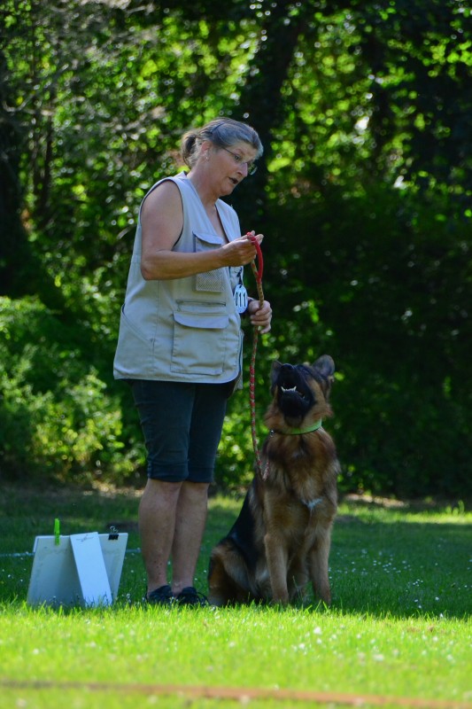 2022-05-22 Rally Obedience Turnier 263
