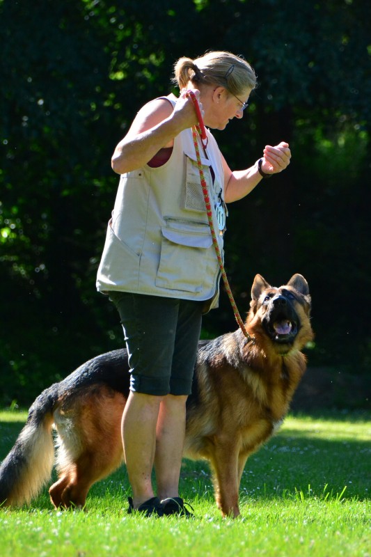 2022-05-22 Rally Obedience Turnier 264