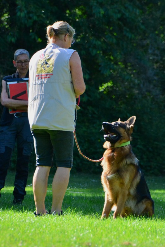2022-05-22 Rally Obedience Turnier 265