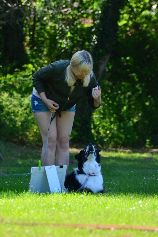 2022-05-22 Rally Obedience Turnier 267