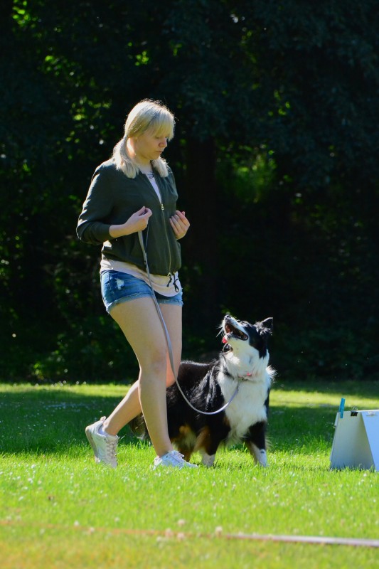 2022-05-22 Rally Obedience Turnier 268