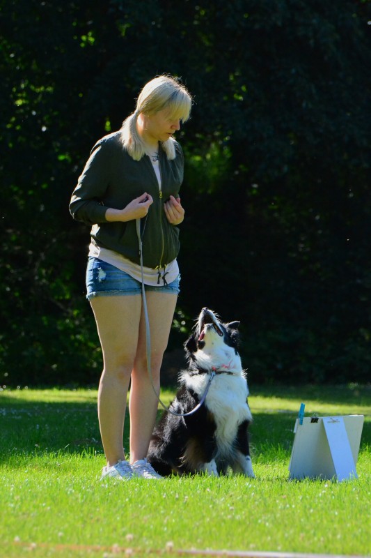 2022-05-22 Rally Obedience Turnier 269