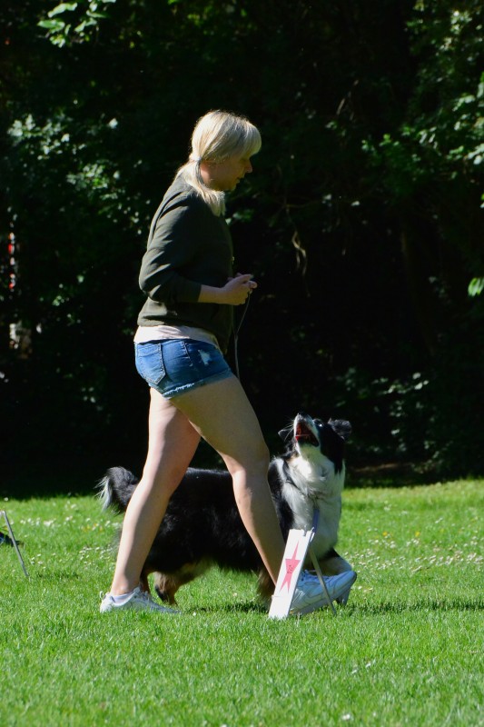2022-05-22 Rally Obedience Turnier 271