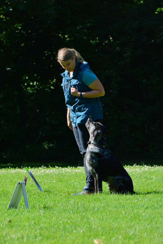 2022-05-22 Rally Obedience Turnier 272
