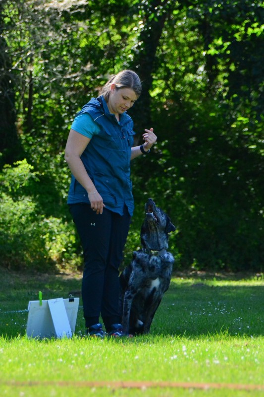 2022-05-22 Rally Obedience Turnier 273