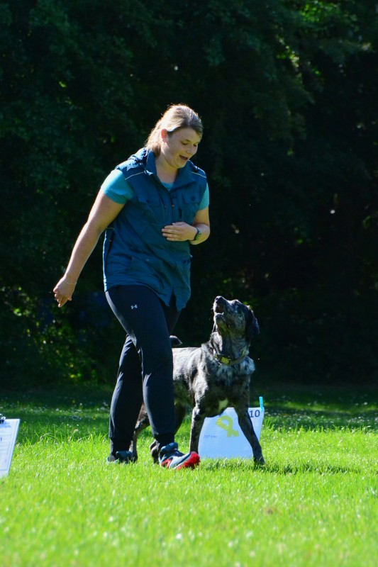 2022-05-22 Rally Obedience Turnier 275