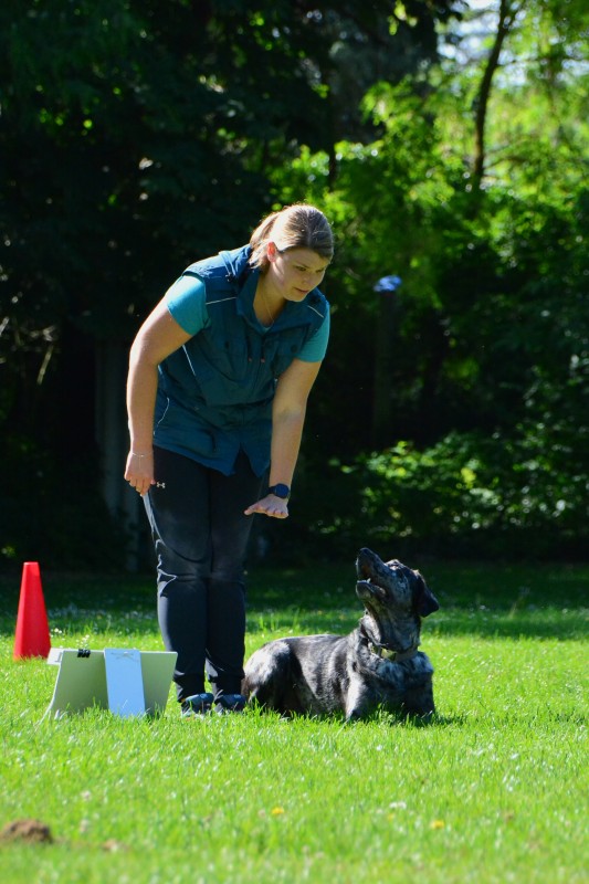 2022-05-22 Rally Obedience Turnier 276