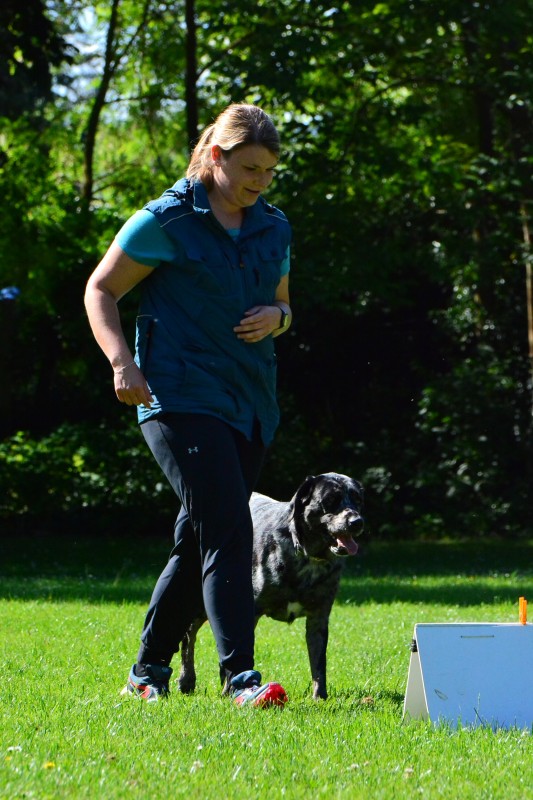 2022-05-22 Rally Obedience Turnier 277