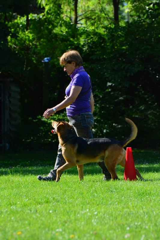 2022-05-22 Rally Obedience Turnier 278
