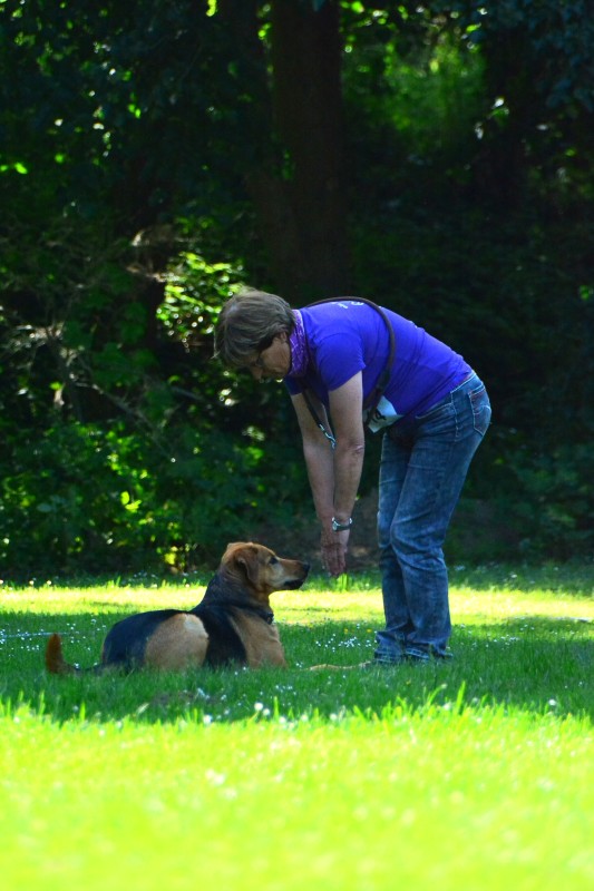 2022-05-22 Rally Obedience Turnier 279