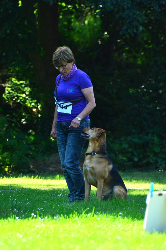 2022-05-22 Rally Obedience Turnier 280