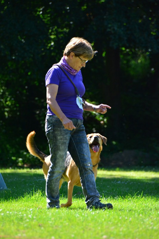 2022-05-22 Rally Obedience Turnier 282
