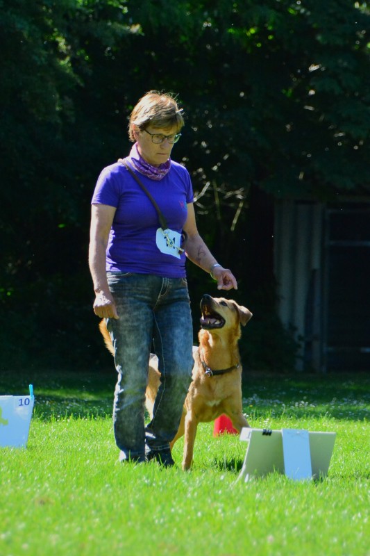 2022-05-22 Rally Obedience Turnier 283