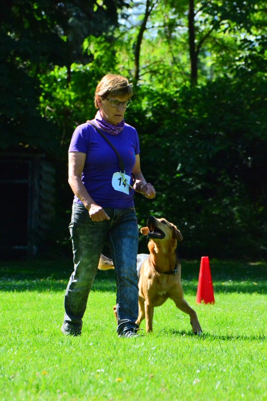 2022-05-22 Rally Obedience Turnier 284