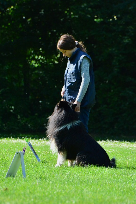 2022-05-22 Rally Obedience Turnier 285