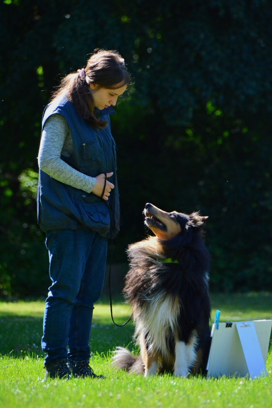 2022-05-22 Rally Obedience Turnier 287