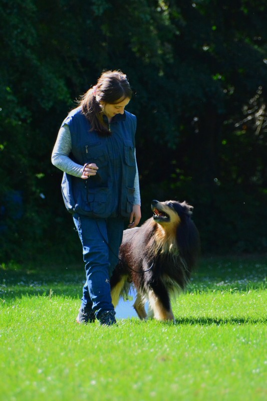 2022-05-22 Rally Obedience Turnier 288