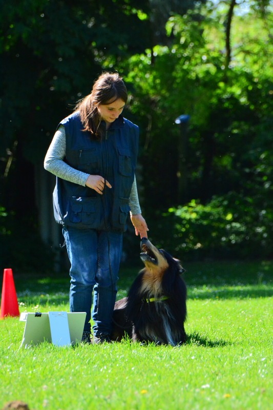 2022-05-22 Rally Obedience Turnier 289
