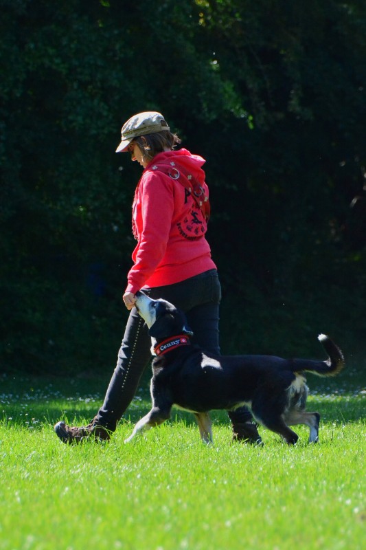 2022-05-22 Rally Obedience Turnier 291
