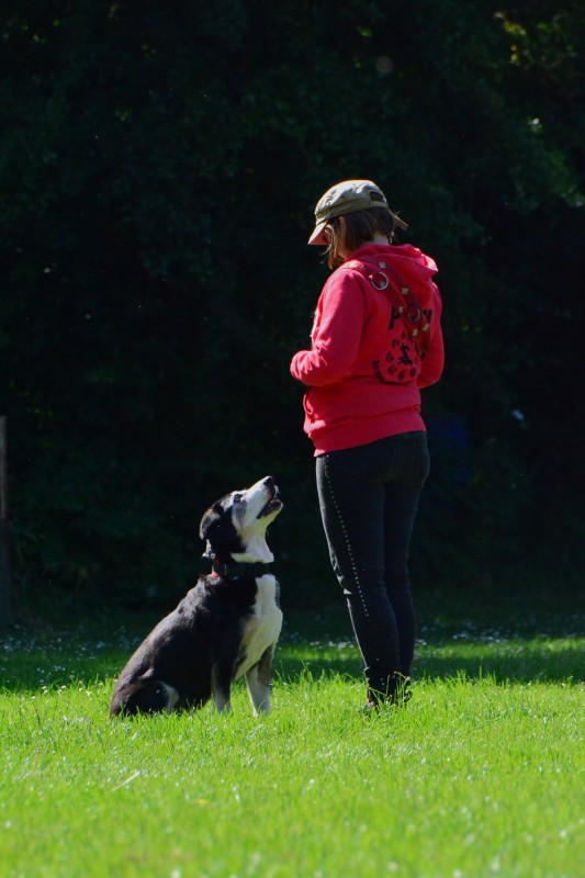 2022-05-22 Rally Obedience Turnier 292