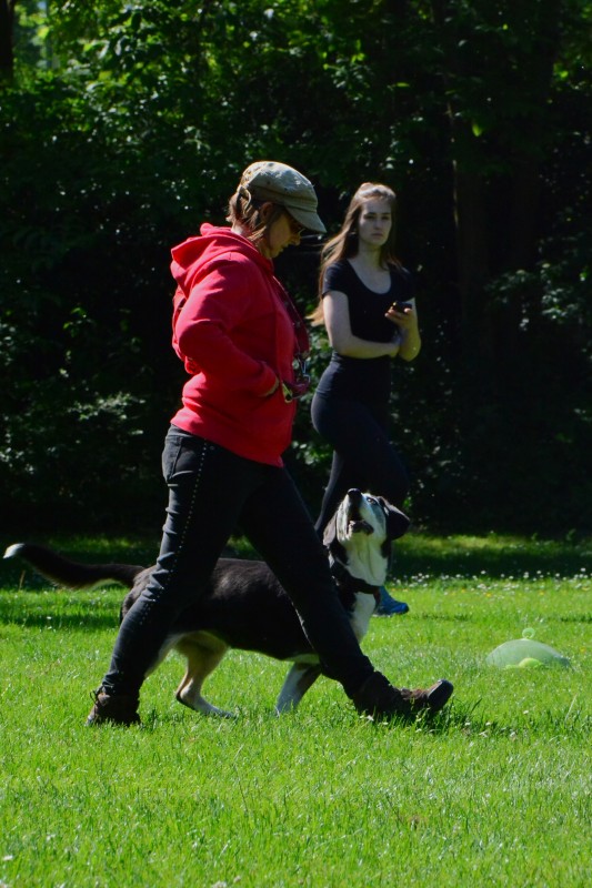 2022-05-22 Rally Obedience Turnier 293