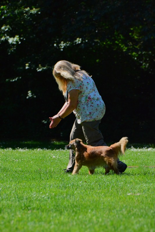 2022-05-22 Rally Obedience Turnier 294