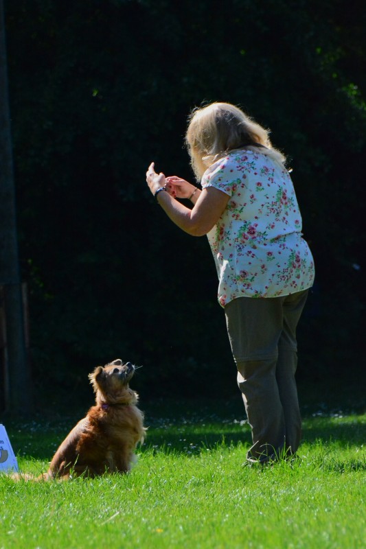 2022-05-22 Rally Obedience Turnier 295