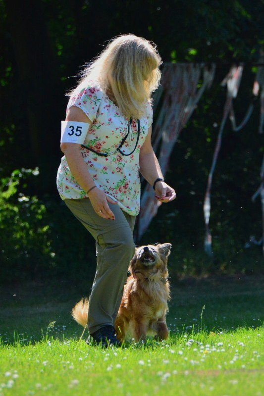 2022-05-22 Rally Obedience Turnier 296