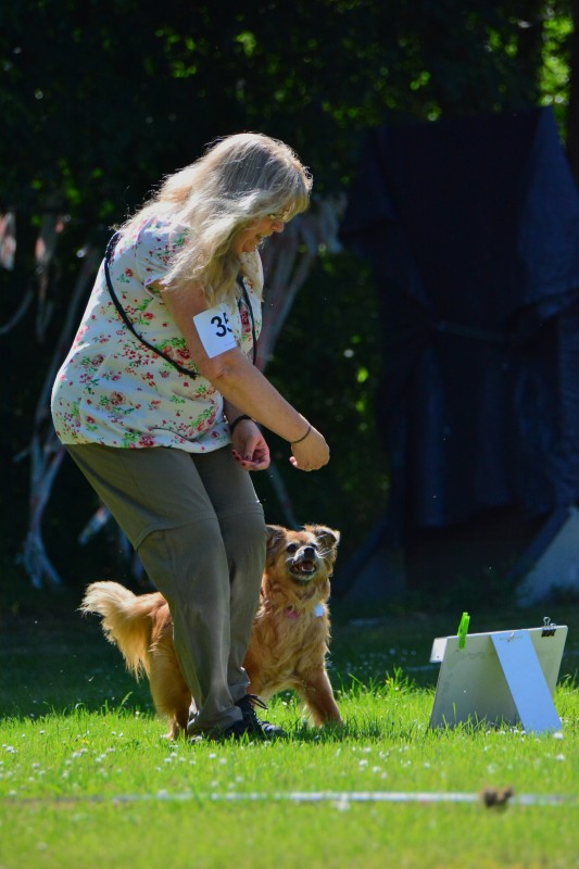 2022-05-22 Rally Obedience Turnier 297
