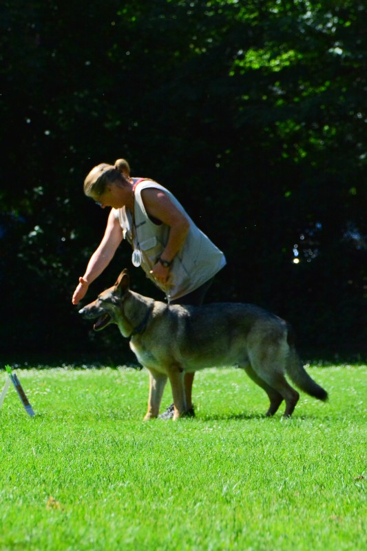 2022-05-22 Rally Obedience Turnier 299