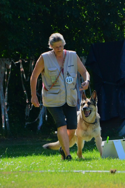 2022-05-22 Rally Obedience Turnier 300