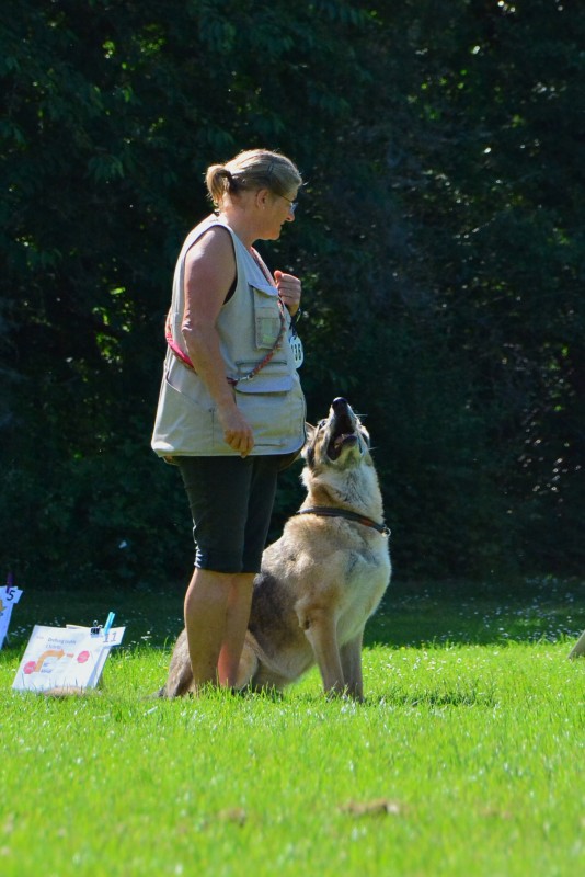 2022-05-22 Rally Obedience Turnier 301