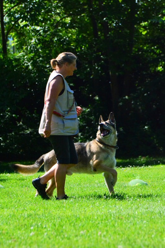2022-05-22 Rally Obedience Turnier 302