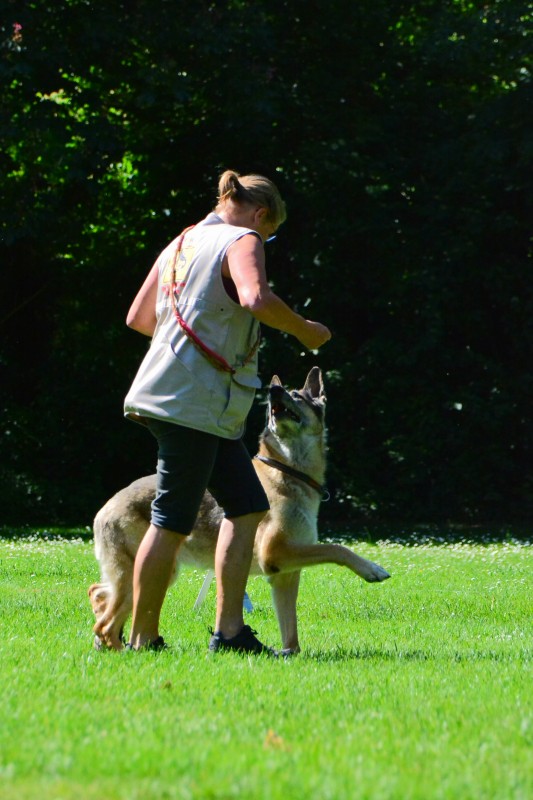2022-05-22 Rally Obedience Turnier 303