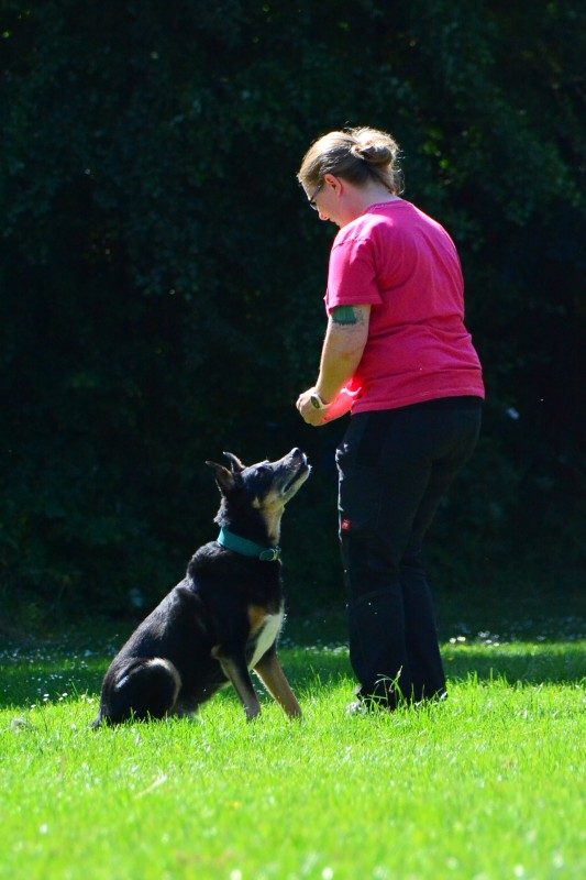 2022-05-22 Rally Obedience Turnier 304
