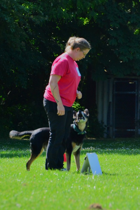 2022-05-22 Rally Obedience Turnier 307