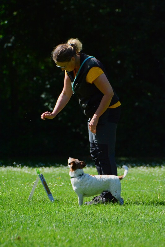 2022-05-22 Rally Obedience Turnier 308