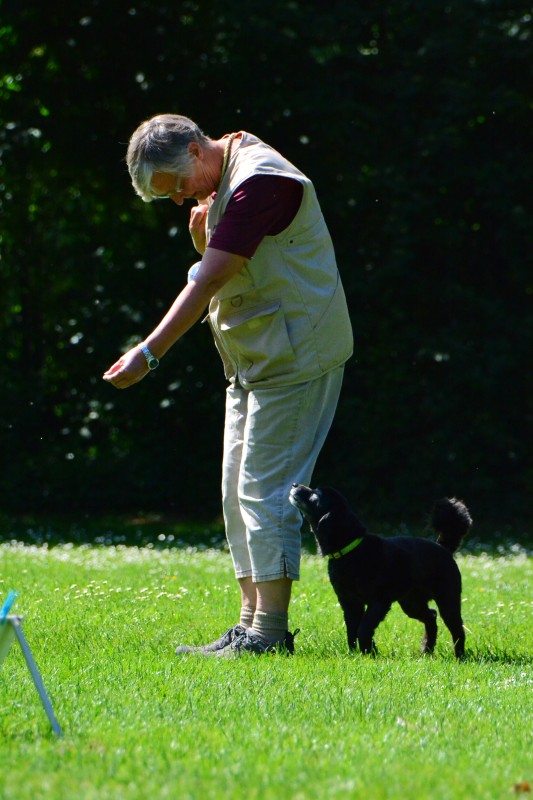 2022-05-22 Rally Obedience Turnier 312