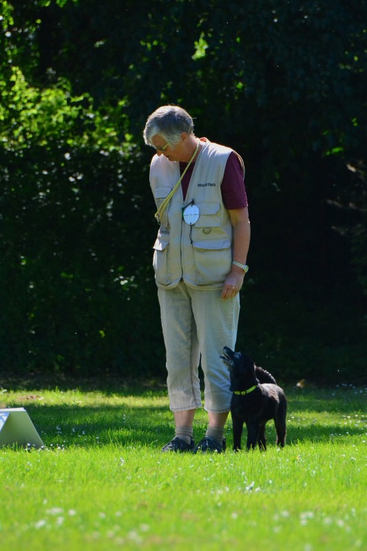 2022-05-22 Rally Obedience Turnier 313