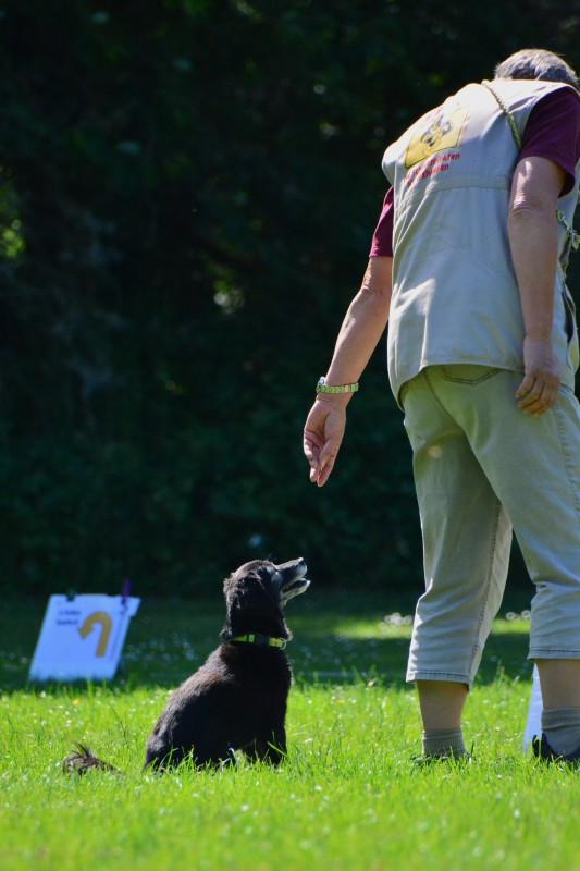 2022-05-22 Rally Obedience Turnier 316