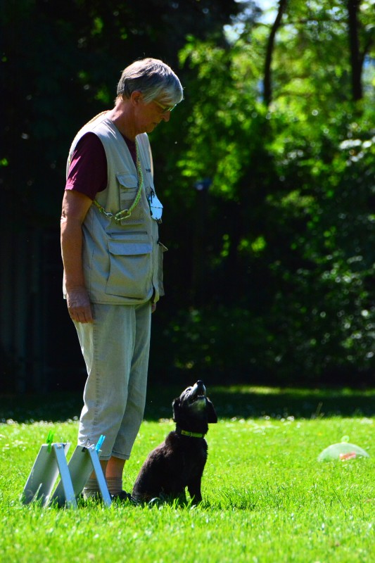 2022-05-22 Rally Obedience Turnier 317